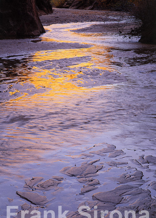 Twilight Canyon Grand Staircase Escalante © Frank Sirona